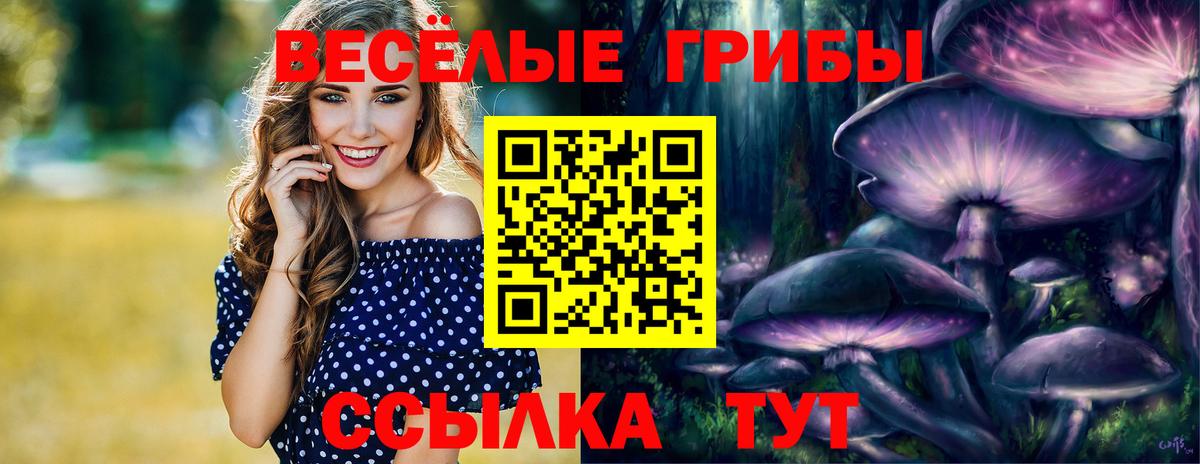 Галлюциногенные грибы Psilocybine cubensis  Вход с VPN  Тихорецк 