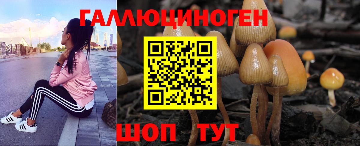 Псилоцибиновые грибы GOLDEN TEACHER Тихорецк