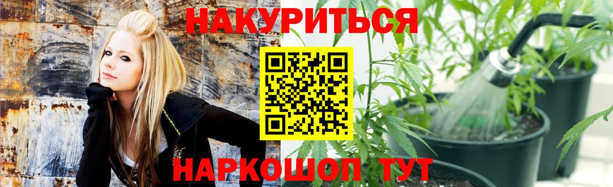 Бошки марихуана марихуана  Канабис конопля  Канабис LSD WEED  Вход с VPN  Тихорецк 